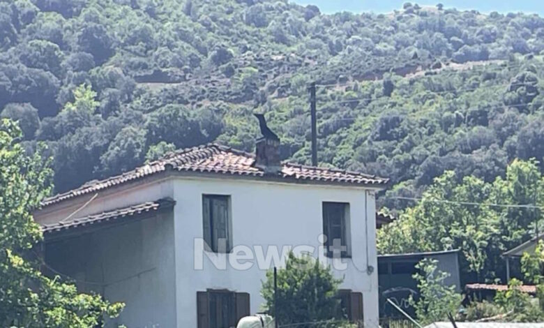 Αιτωλοακαρνανία:-Τη-Δευτέρα-απολογείται-ο-67χρονος-που-σκότωσε-τον-95χρονο-πατέρα-του –-Ισχυρίστηκε-ότι-δεν-τον-άφηνε-να-κοιμηθεί
