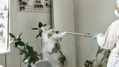 Μητρώο-εταιρειών-και-εργολάβων-για-απεντόμωση-σχολείων-δημιουργεί-ο-Δήμος-Τρικκαίων