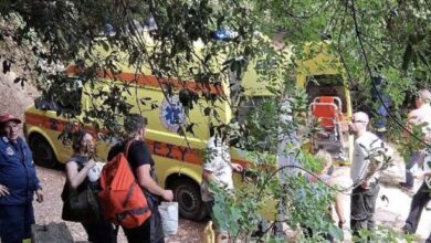 Φαράγγι-της-Νέδας:-«Το-παιδί-έπεσε-από-ύψος-25-μέτρων-και-χτύπησε-σε-δέντρο»-λέει-αυτόπτης-μάρτυρας