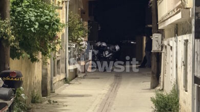 Λάρισα:-«Ακούγονταν-φωνές-για-βοήθεια»-λένε-γείτονες-της-οικογένειας-για-την-δολοφονία-της-52χρονης-από-τον-γιό-της