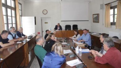 Δασοτεχνική-διευθέτηση-χειμάρρου-στα-Στουρναρέικα