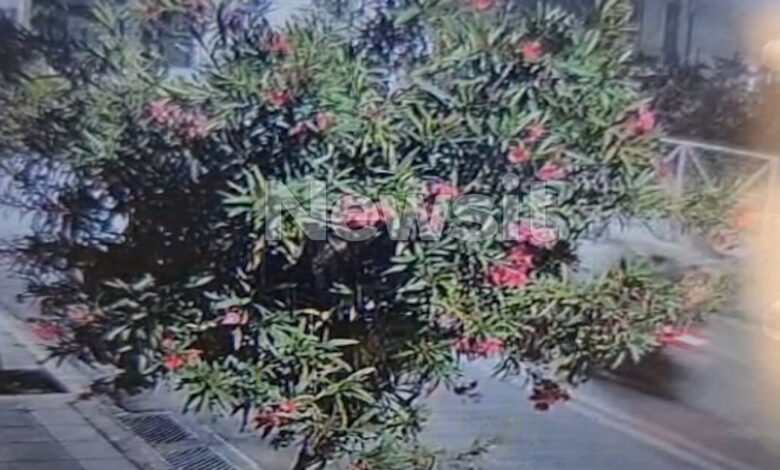 Άνω-Λιόσια:-Η-στιγμή-που-οι-δράστες-κυνηγούν-και-«γαζώνουν»-τη-μαύρη-mercedes-του-42χρονου-bodybuilder-–-«Με-πυροβόλησαν»