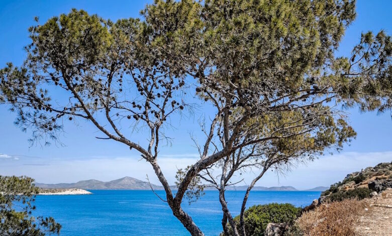 Ο-καιρός-αύριο:-Στους-28-βαθμούς-η-θερμοκρασία-–-Βροχές-στα-ορεινά-της-Ηπείρου