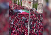 Χάγη:-Πάνω-από-100.000-διαδηλωτές-ντυμένοι-στα-κόκκινα-διαμαρτυρήθηκαν-για-τον-πόλεμο-στη-Γάζα
