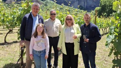 Η-ΠΕ.-Τρικάλων-στις-«Ανοιχτές-Πόρτες-2025»-–-Παρουσία-της-Περιφέρειας-Θεσσαλίας-στο-Κτήμα-Θεόπετρα