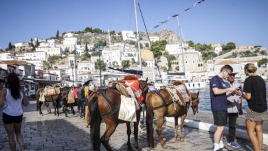 Ύδρα-–-Σπέτσες:-Δημιουργείται-ειδική-γραμμή-καταγγελιών-για-τροχοφόρα-στα-δύο-νησιά