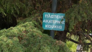 Τρικαλινή-ζούγκλα:-Τα-χόρτα-πνίγουν-δρόμους-και-πολίτες