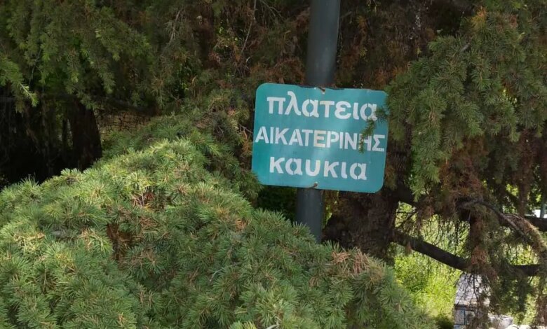 Τρικαλινή-ζούγκλα:-Τα-χόρτα-πνίγουν-δρόμους-και-πολίτες