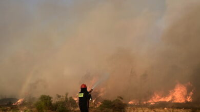 Φωτιά-στην-Ανάφη:-Μεταβαίνουν-πυροσβεστικές-δυνάμεις-από-τη-Σαντορίνη