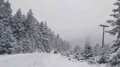 Ελβετία:-Πέντε-σκιέρ-βρέθηκαν-νεκροί-στο-όρος-Ρίμπφισορν-στις-Άλπεις