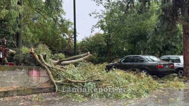 Καιρός-–-Λαμία:-Πολλά-προβλήματα-από-ισχυρό-μπουρίνι,-ξεριζωμένα-δέντρα-και-«φουσκωμένοι»-χείμαρροι