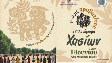 1η-Γιορτή-Προβατίνας:-Ένα-νέο-γαστρονομικό-αντάμωμα-στα-Χάσια