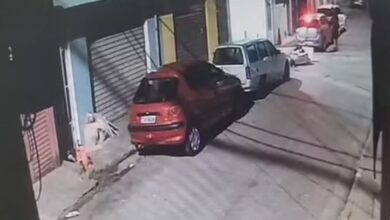 Βραζιλία:-Στραγγάλισε-την-πρώην-σύζυγό-του,-έβαλε-το-πτώμα-στο-πορτμπαγκάζ-και-πέταξε-το-πτώμα-της-σε-ποτάμι-με-πιράνχας