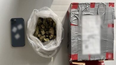 Σύλληψη-άνδρα-στον-Δήμο-Κιλελέρ-για-κατοχή-κάνναβης-–-Εντοπίστηκε-δέμα-σε-ΚΤΕΛ-Λάρισας-με-τη-βοήθεια-αστυνομικού-σκύλου