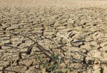 «Καμπανάκι»-από-τον-Παγκόσμιο-Μετεωρολογικό-Οργανισμό-για-ρεκόρ-ζέστης-την-επόμενη-πενταετία