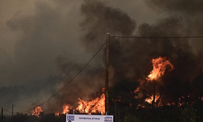 Φωτιά-στον-Ασπρόπυργο-στην-περιοχή-Τζαβερδέλα:-Πυροσβέστες-και-αεροσκάφη-δίνουν-μάχη-με-τις-φλόγες-και-τους-ανέμους