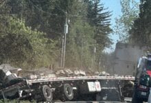 ΗΠΑ:-250-εκατομμύρια-μέλισσες-ελεύθερες-μετά-από-ατύχημα-με-φορτηγό-που-μετέφερε-κυψέλες