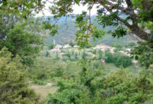 Τι-υποστηρίζει-ο-Τούρκος-μαφιόζος-για-τους-πυροβολισμούς-στη-Θεσσαλονίκη:-«Δεν-γνώριζα-πως-ήταν-άνδρες-της-ΕΥΠ,-βρισκόμουν-σε-πανικό»
