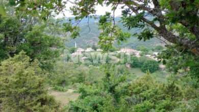 Τι-υποστηρίζει-ο-Τούρκος-μαφιόζος-για-τους-πυροβολισμούς-στη-Θεσσαλονίκη:-«Δεν-γνώριζα-πως-ήταν-άνδρες-της-ΕΥΠ,-βρισκόμουν-σε-πανικό»