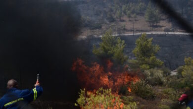 Φωτιά-στο-Νεοχώρι-Αργολίδας:-Σηκώθηκαν-αεροσκάφη,-στη-μάχη-και-40-πυροσβέστες