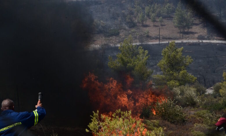 Φωτιά-στο-Νεοχώρι-Αργολίδας:-Σηκώθηκαν-αεροσκάφη,-στη-μάχη-και-40-πυροσβέστες