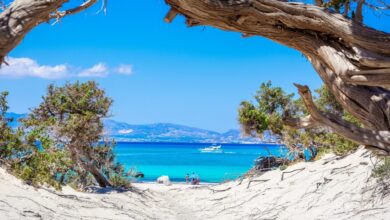 Προειδοποίηση-Τσελέντη-για-μετασεισμούς-και-προληπτικά-μέτρα-στις-παραλίες-μετά-τον-σεισμό-στο-Λασίθι