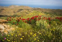 Μάιος-2025:-Ο-5ος-ψυχρότερος-από-το-2010-στη-Θεσσαλία