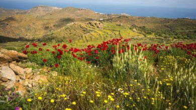 Μάιος-2025:-Ο-5ος-ψυχρότερος-από-το-2010-στη-Θεσσαλία