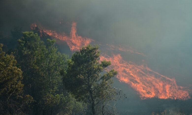 Συνελήφθη-73χρονος-εμπρηστής-στη-Βοιωτία-–-Έβαλε-φωτιά-σε-δυο-διαφορετικά-σημεία