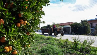ΥΠΑΑΤ:-Στο-επίκεντρο-η-προστασία-των-αγροτών-–-Ενισχύσεις-και-νέα-εργαλεία-για-την-κλιματική-κρίση