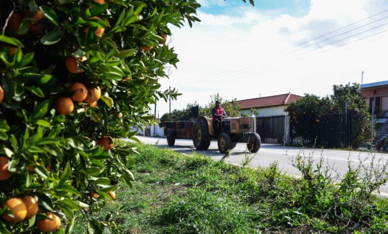ΥΠΑΑΤ:-Στο-επίκεντρο-η-προστασία-των-αγροτών-–-Ενισχύσεις-και-νέα-εργαλεία-για-την-κλιματική-κρίση