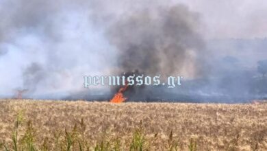 Φωτιά-στο-Λεοντάρι-Βοιωτίας-–-Επιχειρούν-3-αεροσκάφη
