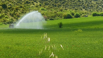 h-λειψυδρία-στη-Θεσσαλία-δρα-υπογείως-–-aνάγκη-για-άμεσες-δράσεις