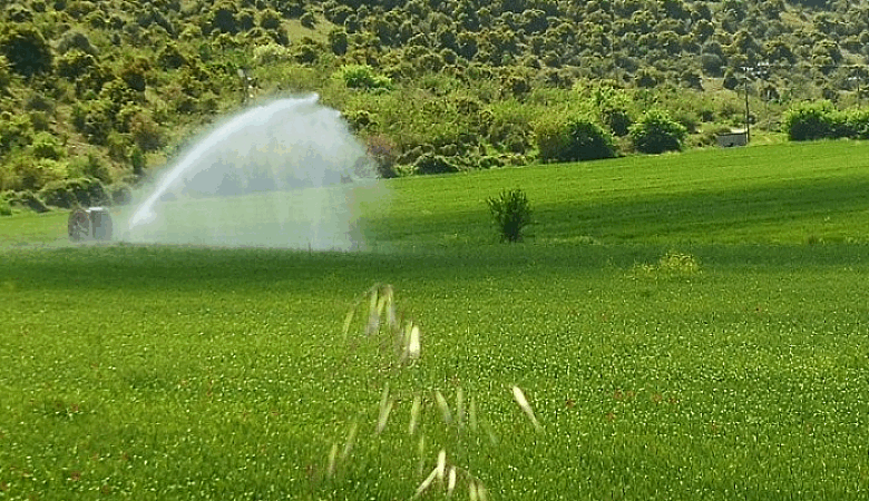h-λειψυδρία-στη-Θεσσαλία-δρα-υπογείως-–-aνάγκη-για-άμεσες-δράσεις