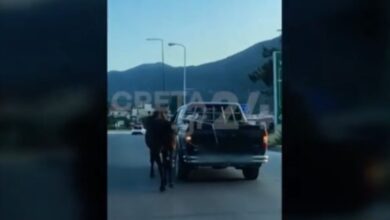 hράκλειο:-Οδηγός-έδεσε-άλογο-με-σχοινί-και-το-έσερνε-με-αγροτικό-–-Το-ζώο-παραπατούσε-και-ήταν-τρομαγμένο
