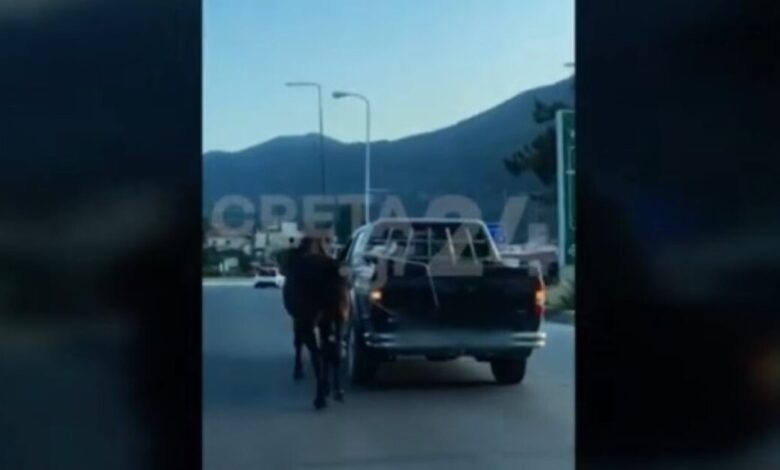 hράκλειο:-Οδηγός-έδεσε-άλογο-με-σχοινί-και-το-έσερνε-με-αγροτικό-–-Το-ζώο-παραπατούσε-και-ήταν-τρομαγμένο