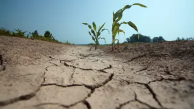 Συναγερμός-στην-Ευρώπη-για-την-ξηρασία-–-Οι-προοπτικές-για-την-Θεσσαλία