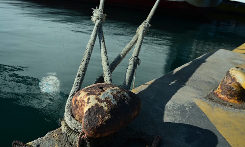 Νέα-24ωρη-απεργία-στα-πλοία-της-Αδριατικής-–-Παραμένουν-δεμένα-στο-λιμάνι-της-Πάτρας