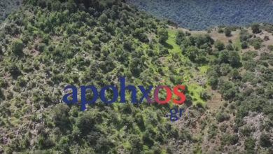Βίντεο-από-τη-διάσωση-πεζοπόρου-στα-Καλάβρυτα-–-Εγκλωβίστηκε-σε-δύσβατο-σημείο