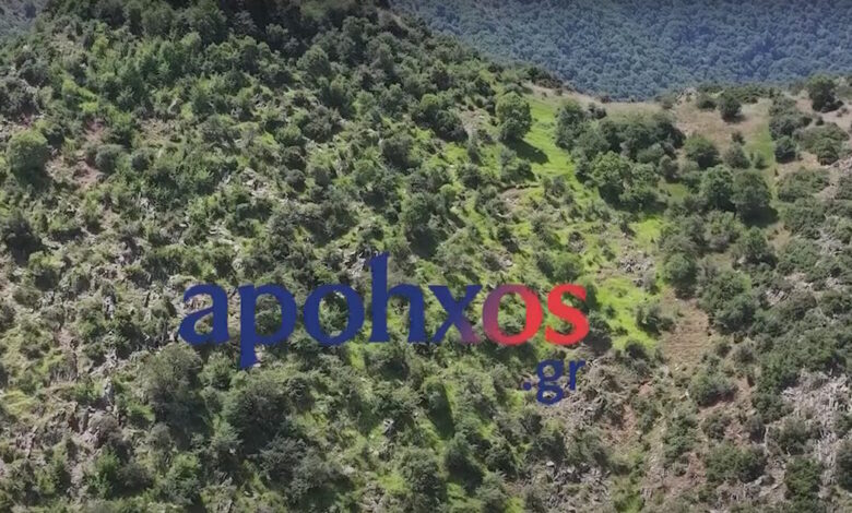 Βίντεο-από-τη-διάσωση-πεζοπόρου-στα-Καλάβρυτα-–-Εγκλωβίστηκε-σε-δύσβατο-σημείο