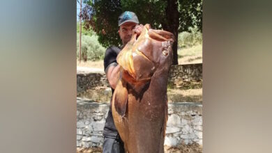 Ψαροντουφεκάς-στον-Βόλο-πήγε-για-ψάρεμα-και-γύρισε-με-ροφό-27-κιλών