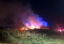 Φωτιά-σε-καλαμιές-έφτασε-κοντά-σε-σπίτια-στη-Λαμία
