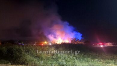 Φωτιά-σε-καλαμιές-έφτασε-κοντά-σε-σπίτια-στη-Λαμία