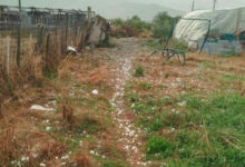 ΕΛΓΑ:-Υπεγράφη-η-σύμβαση-για-τη-χαλαζική-προστασία