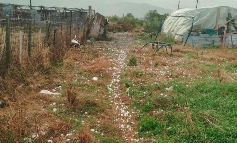 ΕΛΓΑ:-Υπεγράφη-η-σύμβαση-για-τη-χαλαζική-προστασία