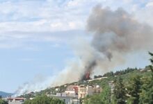 Φωτιά-στη-Θεσσαλονίκη-πίσω-από-το-νοσοκομείο-«Παπαγεωργίου»-–-Καίει-κοντά-σε-σπίτια,-ήχησε-το-112