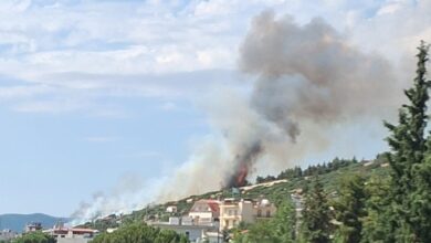 Φωτιά-στη-Θεσσαλονίκη-πίσω-από-το-νοσοκομείο-«Παπαγεωργίου»-–-Καίει-κοντά-σε-σπίτια,-ήχησε-το-112