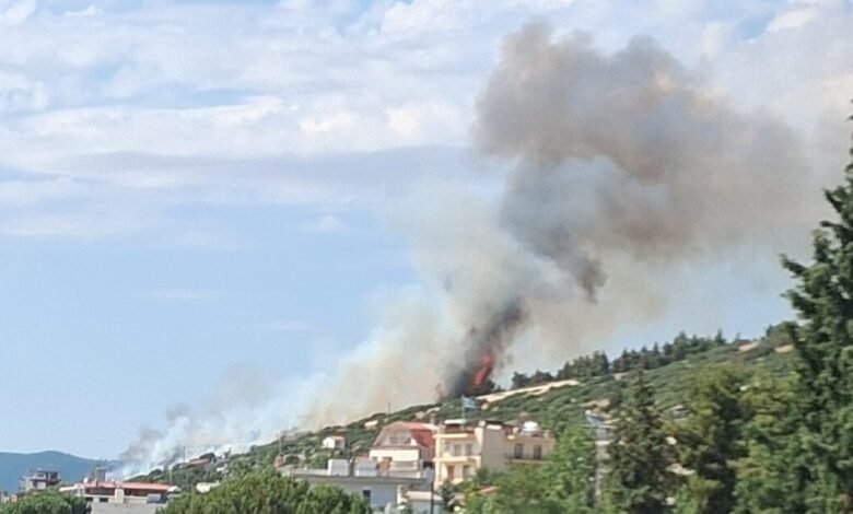 Φωτιά-στη-Θεσσαλονίκη-πίσω-από-το-νοσοκομείο-«Παπαγεωργίου»-–-Καίει-κοντά-σε-σπίτια,-ήχησε-το-112