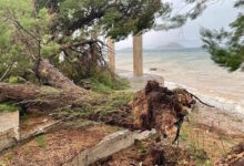 Καιρός:-Δυνατό-μπουρίνι-ξερίζωσε-δέντρα-στα-Μέγαρα-–-Εικόνες-από-το-πέρασμα-της-κακοκαιρίας-και-σε-Κόρινθο,-Γιάννενα