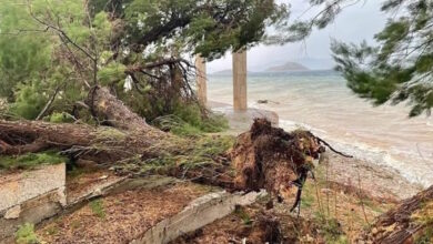 Καιρός:-Δυνατό-μπουρίνι-ξερίζωσε-δέντρα-στα-Μέγαρα-–-Εικόνες-από-το-πέρασμα-της-κακοκαιρίας-και-σε-Κόρινθο,-Γιάννενα